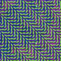 Animal Collective : Merriweather Post Pavilion